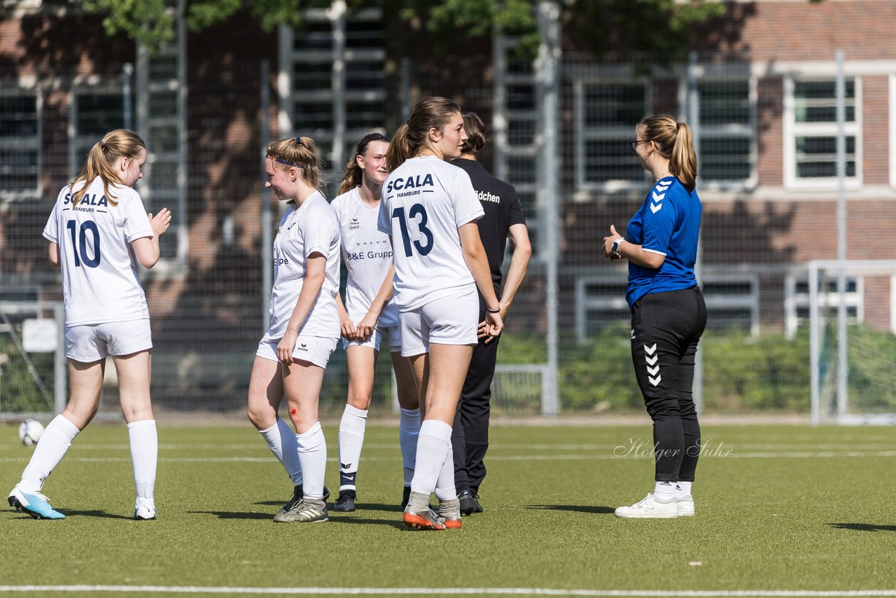 Bild 257 - wBJ Alstertal-Langenhorn - SV Henstedt-Ulzburg : Ergebnis: 4:1